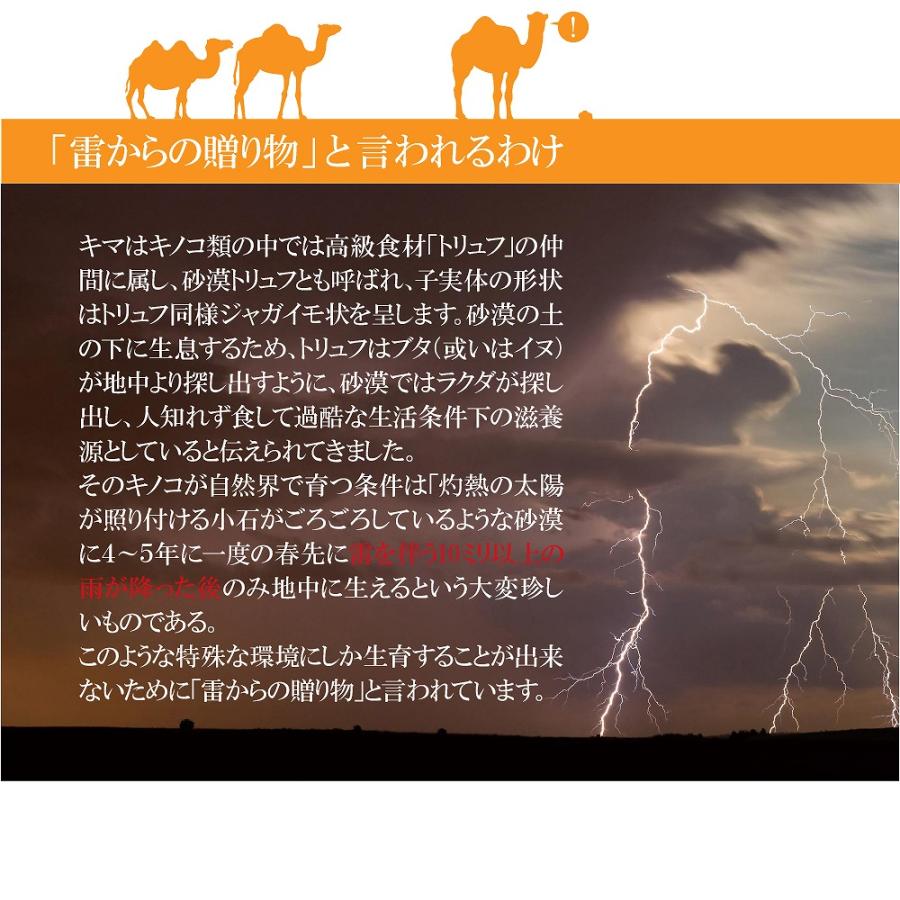 キマ＆ミー ウェルネス 100錠 ファンタジーワールド ▼w ペット フード 犬 ドッグ 猫 キャット サプリメント 国産｜runpet｜07