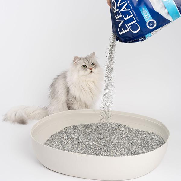 エバークリーン エクストラフレッシュ 芳香タイプ 4.2kg×4袋 新東亜交易 ▼g ペット グッズ 猫 キャット トイレ 猫砂 ベントナイト 消臭 固まる 送料無料の画像