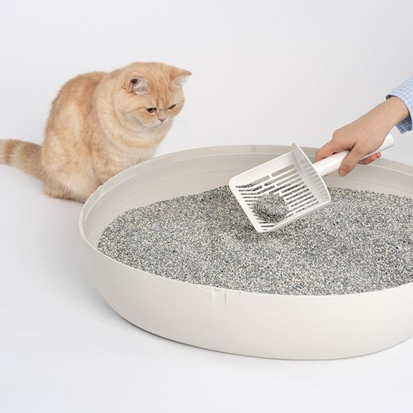 エバークリーン エクストラフレッシュ 芳香タイプ 4.2kg×4袋 新東亜交易 ▼g ペット グッズ 猫 キャット トイレ 猫砂 ベントナイト 消臭 固まる 送料無料の画像