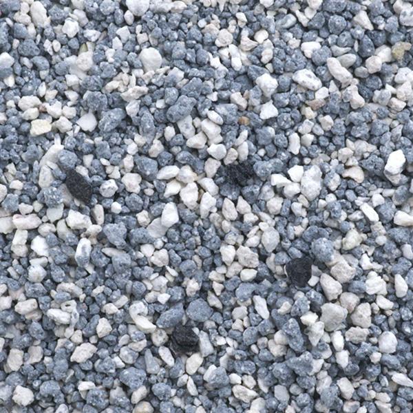 エバークリーン エクストラフレッシュ 無香タイプ 4.2kg 新東亜交易