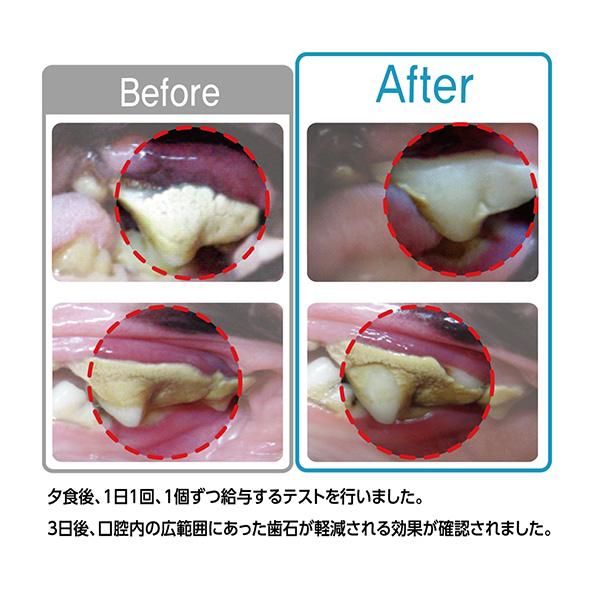 DENTI 3 fairy デンティ・スリーフェアリー はちみつミント味 SS[約32