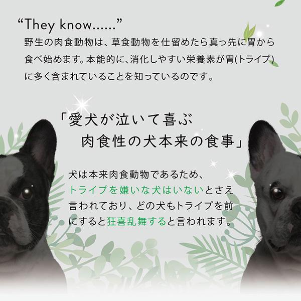 NUTRIPE（ニュートライプ） ピュア グリーントライプ 全年齢用 185g×6