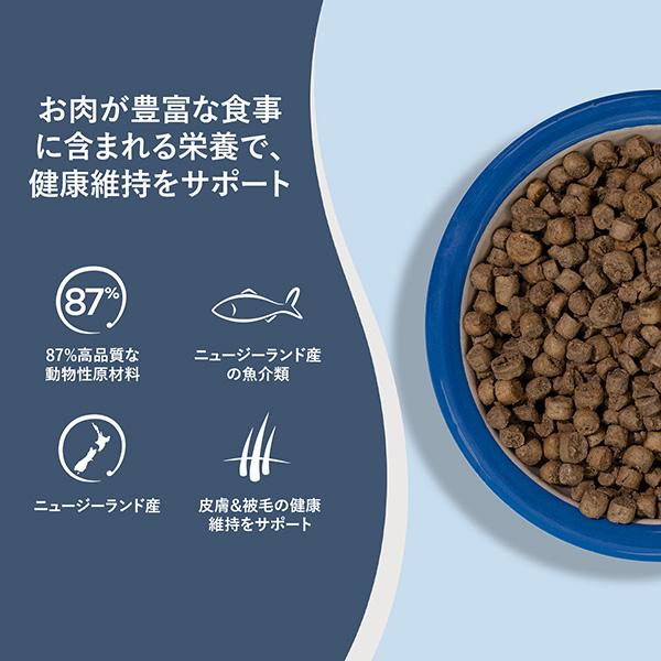 ZIWI（ジウィ） ジウィピーク スチーム＆ドライ キャットフード