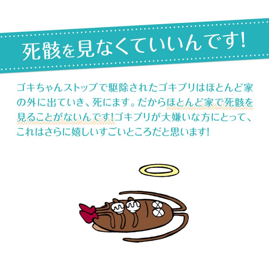 あしたるんるん ゴキちゃんストップ ウーマンデザイン 3個セット