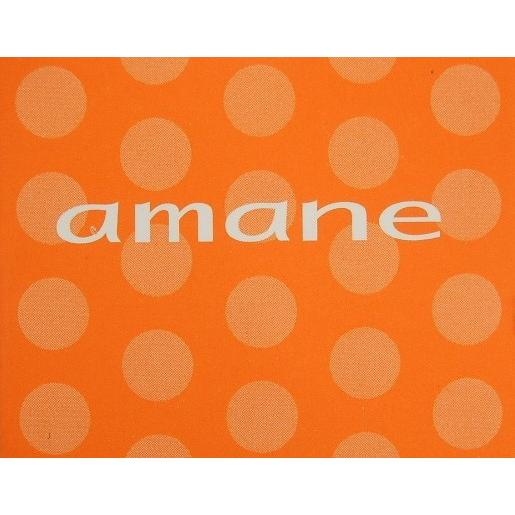 大幅ダウン▽アキレス アマネ プレミアム レディース  AMP1050 サイドゴアブーツ/防水防滑/SALE限定特価 売り切れ次第終了 | アキレス | 06