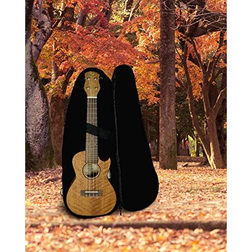 国内正規取扱い店 Journey Instruments Meranti Concert Travel Ukulele - UC770ce Tra 【並行輸入】