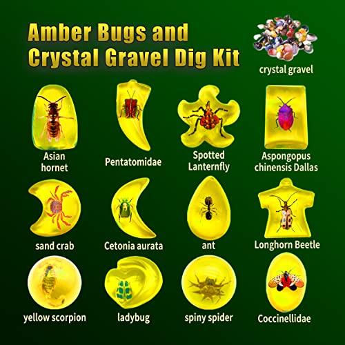 保存版 Amber DIGキットには 掘削12pcsの昆虫瓶と多くのクリスタルストーンが含まれています。 【並行輸入】