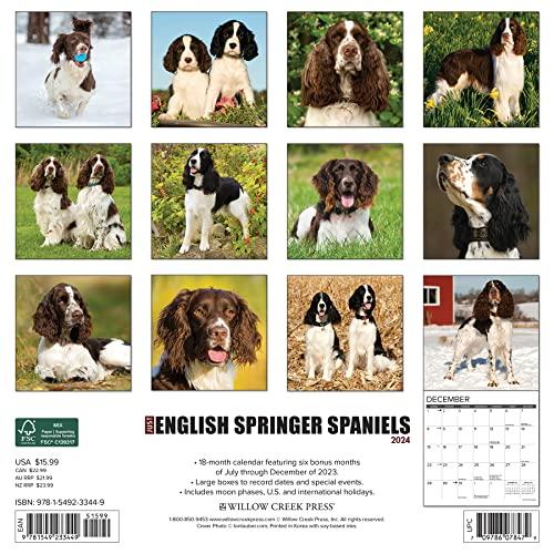 Just English Springer Spaniels 2024 Calendar 【並行輸入】｜runsis-store｜02