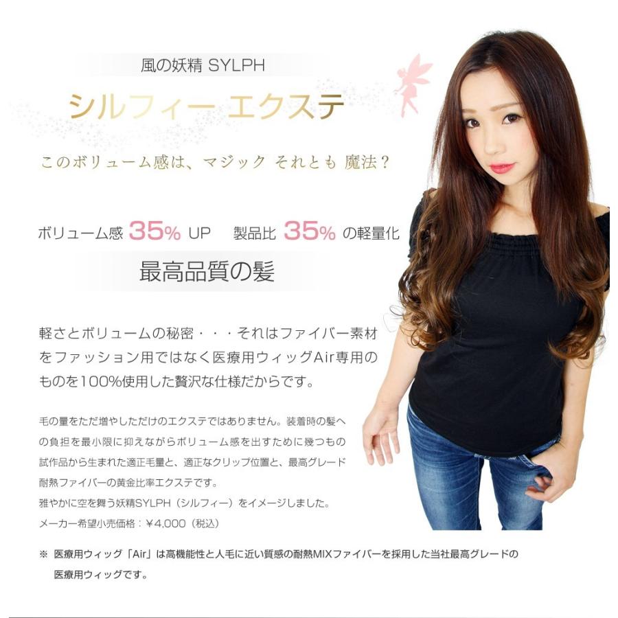 ワンタッチ エクステ 襟足ウィッグ ロング SA : シュシュ