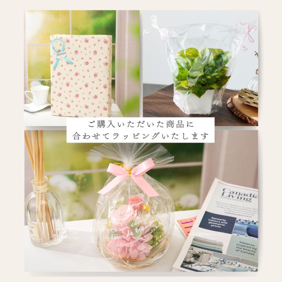 プリザーブドフラワー フレーム ギフト クレール 誕生日 退職祝い. 結婚祝い 結婚記念日 開店祝い 記念日 卒業祝い 贈り物 ギフト 花 プレゼント 母の日 爆買 |  | 10