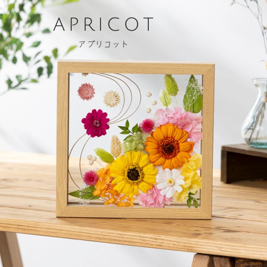 プリザーブドフラワー フレーム ギフト クレール 誕生日 退職祝い. 結婚祝い 結婚記念日 開店祝い 記念日 卒業祝い 贈り物 ギフト 花 プレゼント 母の日 爆買 |  | 04