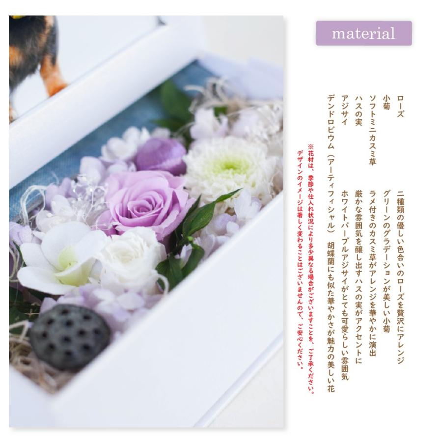 プリザーブドフラワー お供え 写真立て 清花 お供えフォトボックス フォトフレーム ペット お悔やみ 仏花 プリザードフラワー 贈り物 送料無料 Pf Kiyoka プリザーブドフラワー Ruplan 通販 Yahoo ショッピング