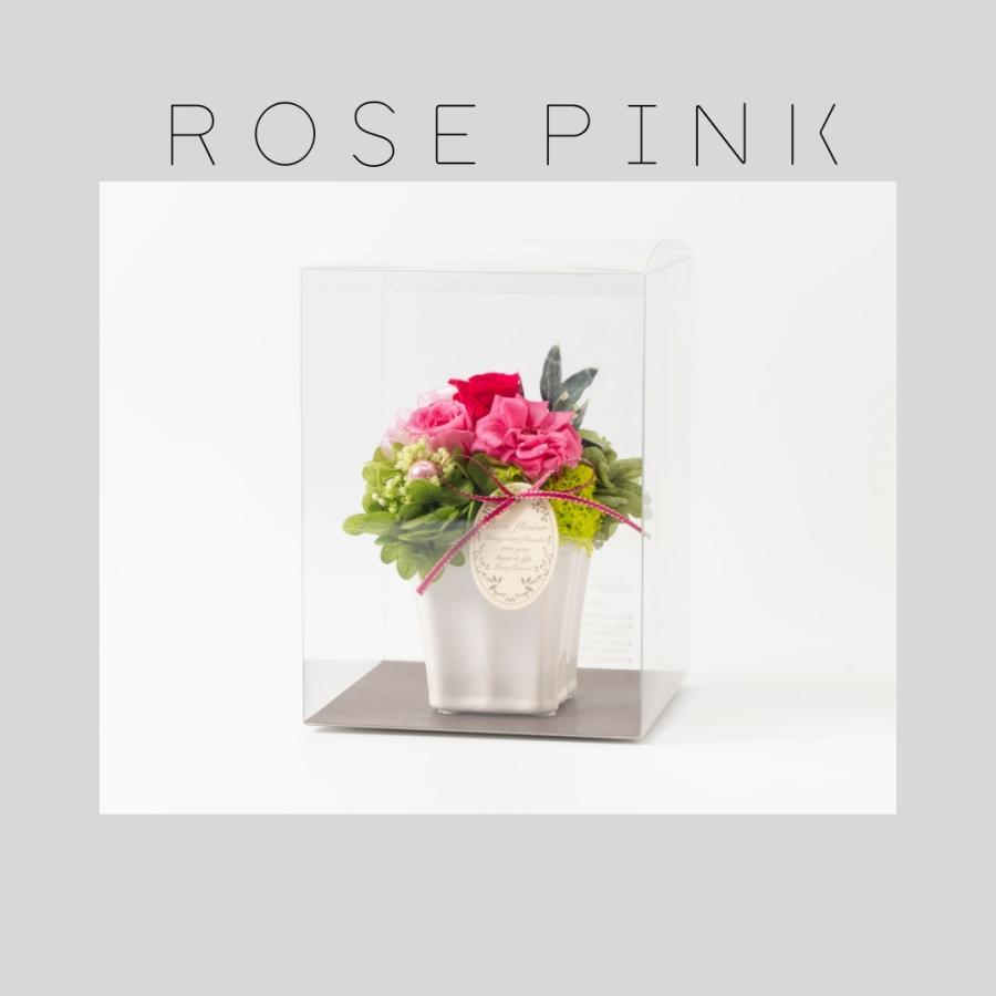 プリザーブドフラワー ギフト 花 マリアンヌ クリアケース入り 誕生日