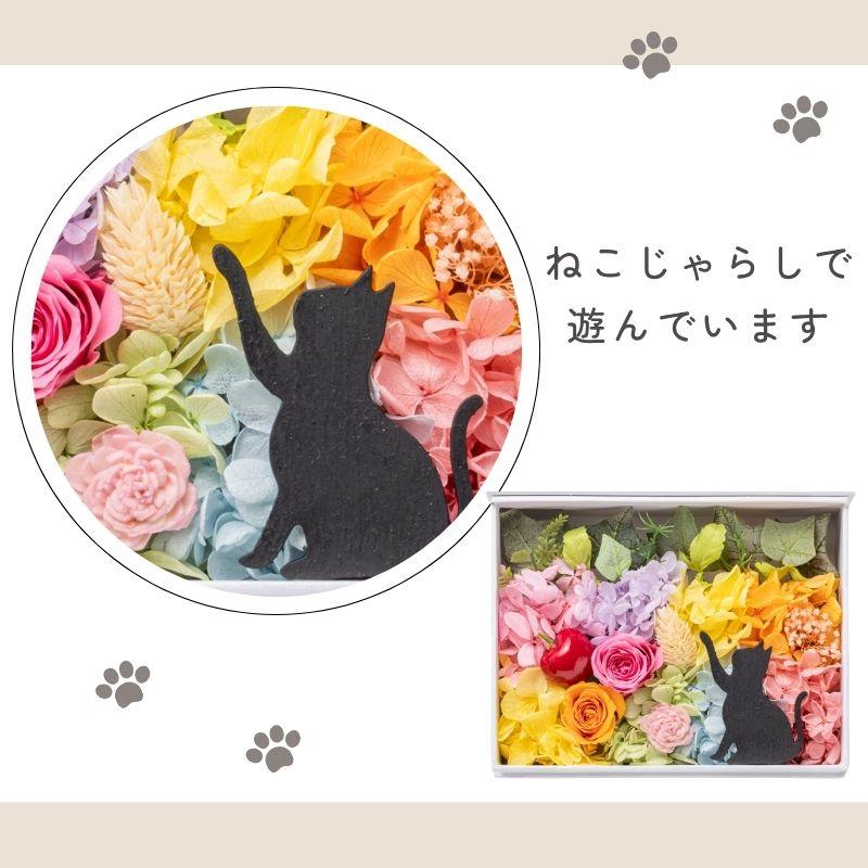 ブリザード 生写真 8枚セット プリザーブドフラワー 写真立て 猫 ミニョン フォトフレーム