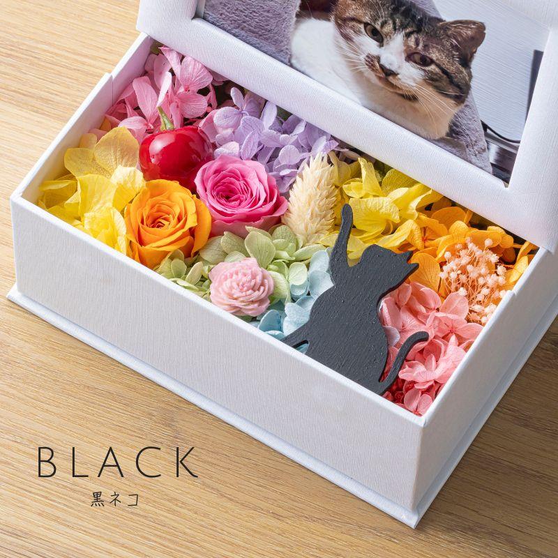 プリザーブドフラワー 写真立て 猫 ミニョン フォトフレーム