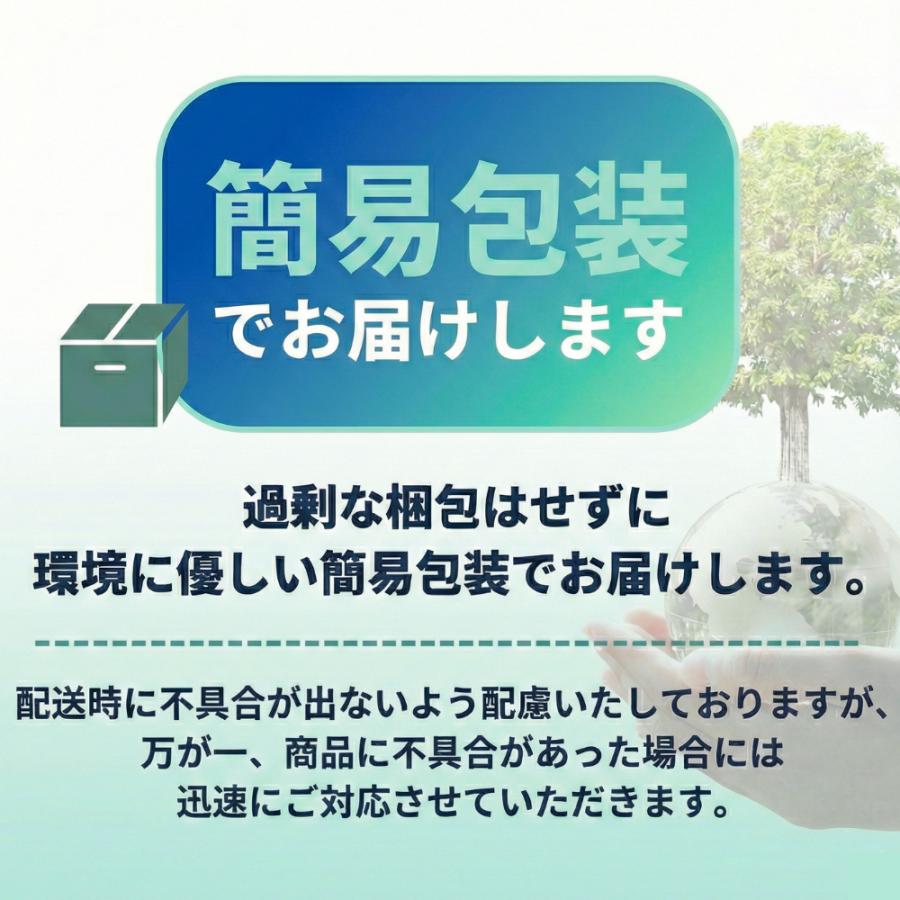 アクリルバインダー A6 フルセット 推し活 家計管理 韓国 家計簿