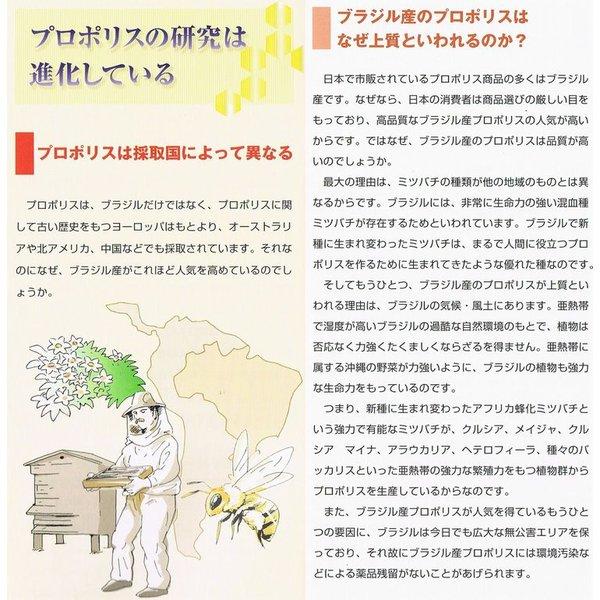 【２点セット】 エスタプロント　ファミリーパック(770ｍｌ)　×超お得３箱セット＋8ｍｌ×６個進呈《プロポリス，ミセル化，ブラジル産》 ※送料無料 【TM3165640097】(114183円)