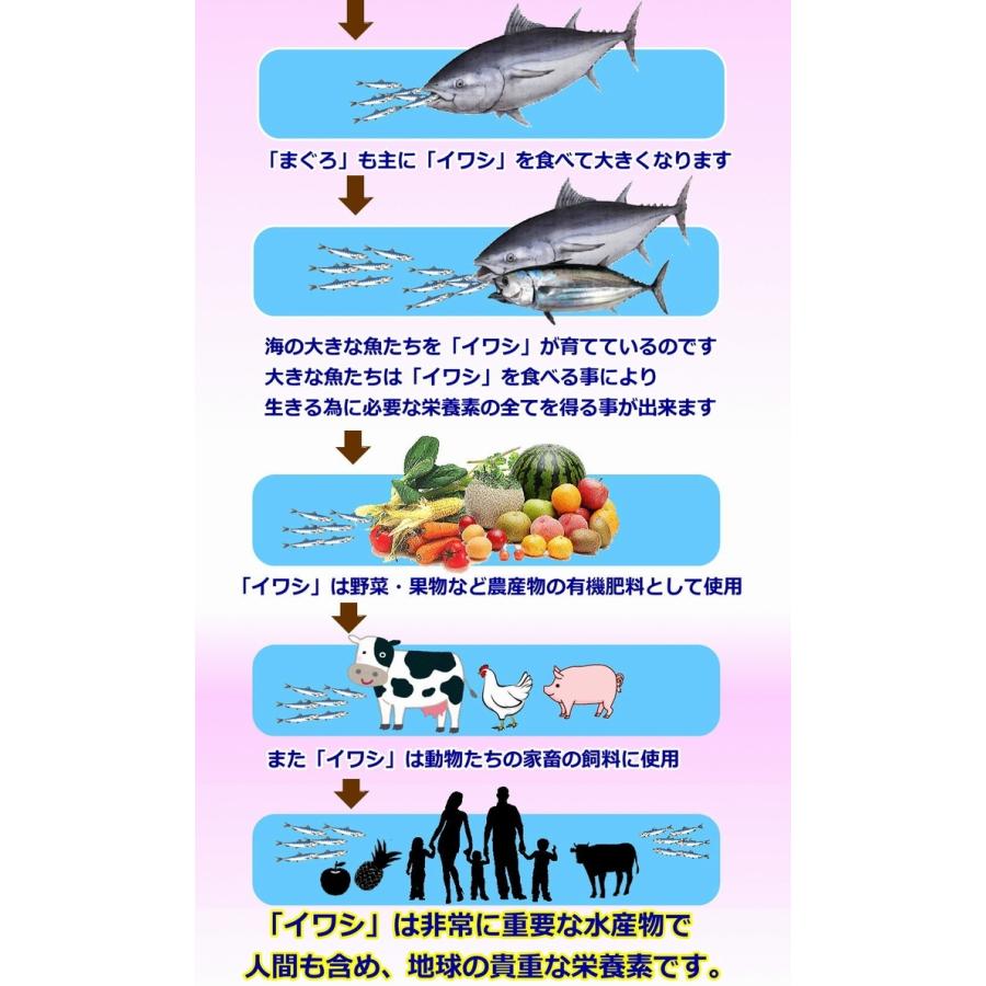 核酸Ｃゴールド＆スーパーSP100 ６０包《ＤＮＡ・ＲＮＡ 核酸 サーデンペプチド イワシペプチド》 ※送料無料の画像