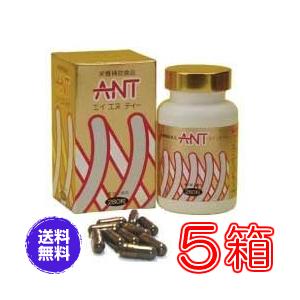 エイエヌティ（ＡＮＴ）　×超お得５箱セット　《ミネラル、蟻、ふしぶし、アリ加工食品、エイ・エヌ・ティー》 ※送料無料 | 