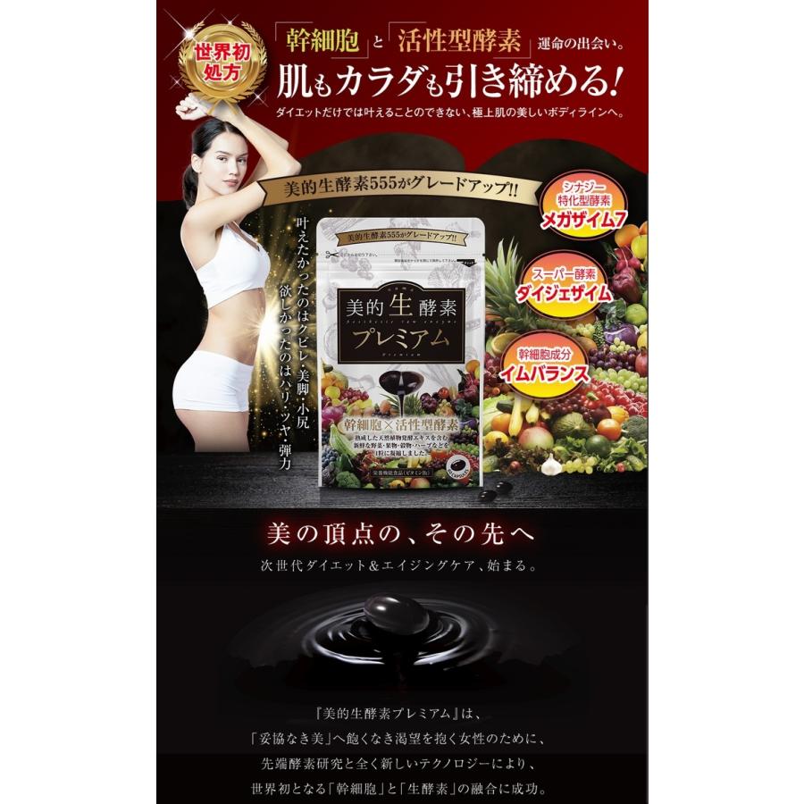 慶次「新品・未開封」美的生酵素555 30日分(60カプセル)×５袋 美的生酵素プレミアム ×超お得6袋 《60カプセル 美的生酵素555が