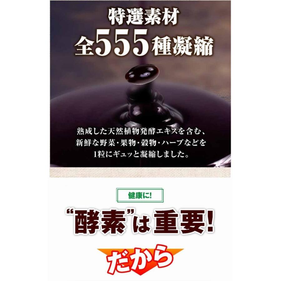 慶次「新品・未開封」美的生酵素555 30日分(60カプセル)×５袋 美的生酵素プレミアム ×超お得6袋 《60カプセル 美的生酵素555が