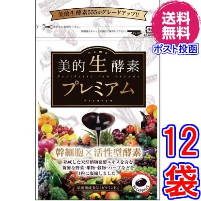 美的生酵素プレミアム ×超お得１２袋 《60カプセル 美的生酵素555がグレードアップ 幹細胞配合 酵素女神生酵素プレミアムと同成分》 ※送料無料