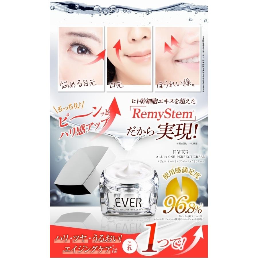新作マット・カーペット エヴェル オールインワンパーフェクトクリーム ×超お得１０個《ＥＶＥＲ、３０ｇ、オールインワンクリーム、次世代の美容成分「RemyStem」》 ※送料無料 【N2235830657】(13200円)