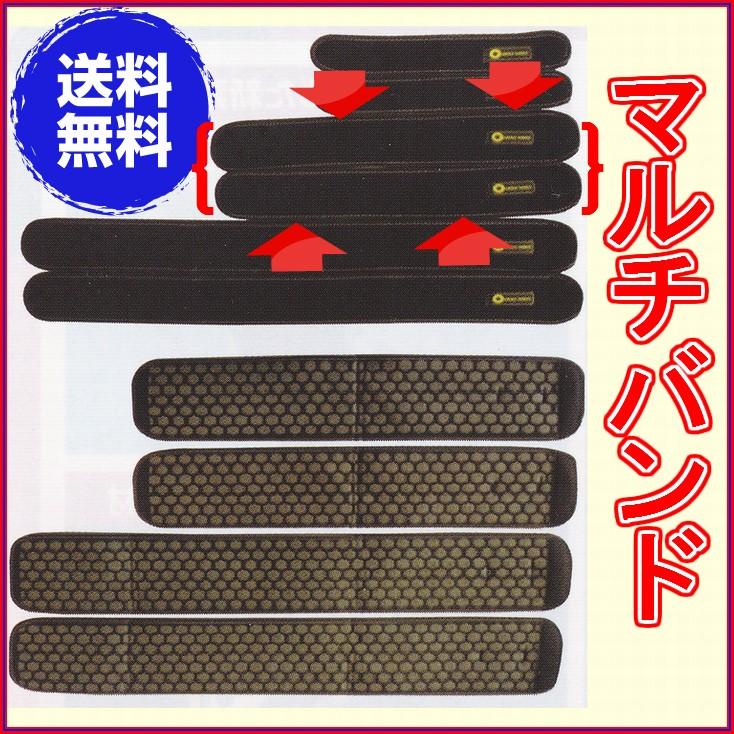ヘルシーレイカーボン ヘルシーレイ CARBONS B 鈴木光線治療研究所製