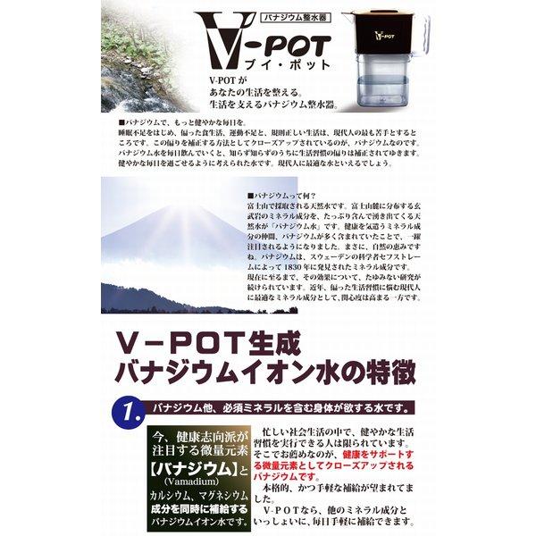 V−POT(ブイ・ポット) バナジウム整水器 浄水器 本体《バナジウム