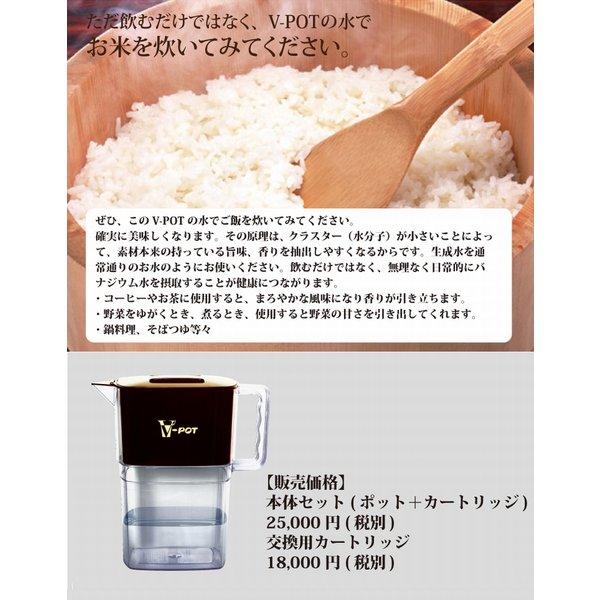 V−POT(ブイ・ポット) バナジウム整水器 浄水器 本体《バナジウム