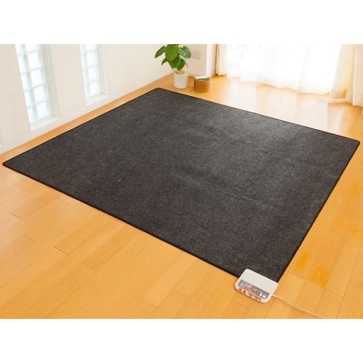 電気ホットカーペット ZCB-30P 3畳タイプ(本体のみ) ※ゼンケン