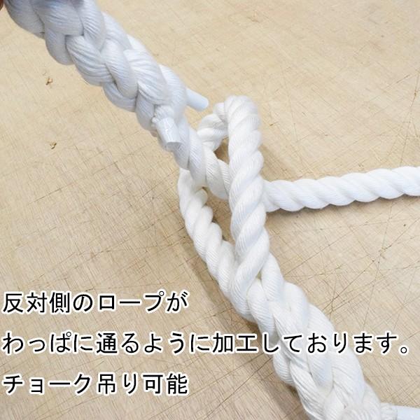 ターザンロープ クレモナロープ 24mmx3m 上り勾配綱 上り勾配縄索
