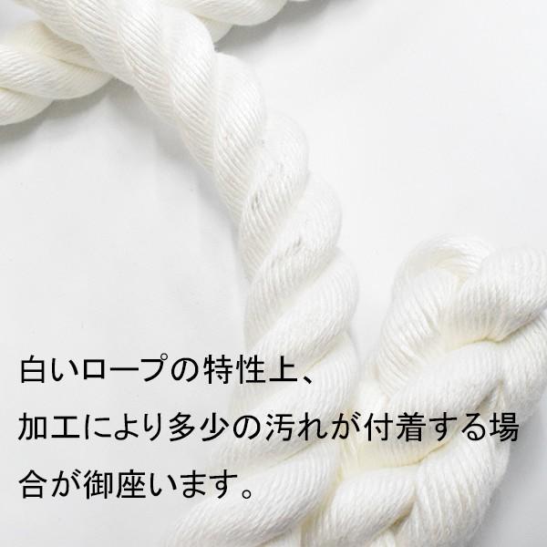 ターザンロープ クレモナロープ 36mmx4.5m 登り綱 運動 スポーツ