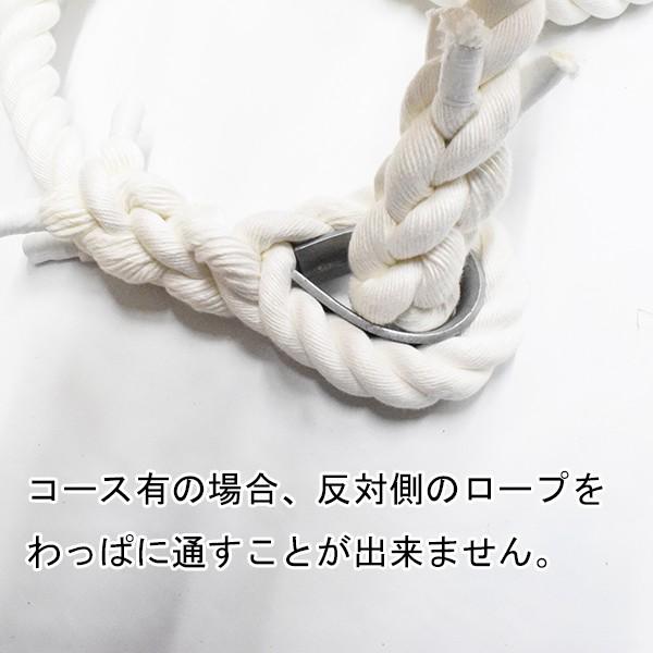 ターザンロープ クレモナロープ 45mmx5m 上り勾配綱 運動すること 運動競技 形づくる アスレチック縄索