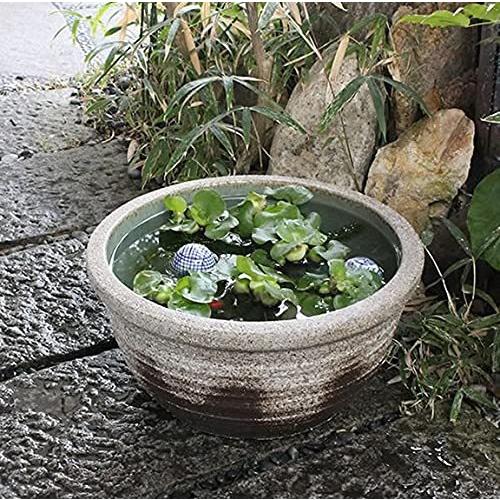 信楽焼 13号灰釉すいれん鉢 睡蓮鉢 スイレン鉢 植木鉢 金魚鉢 陶器 信楽焼き睡蓮鉢は お庭に和風の空間づくりに A B01mqxlfsx 2601 Ruru 水鉢 園芸用品 Su 0054 高評価のクリスマスプレゼント