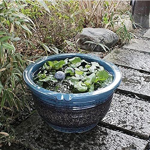 信楽焼 15号ナマコ色 スイレン鉢 すいれん鉢 メダカ鉢 睡蓮鉢 植木鉢 スイレン鉢 金魚鉢 陶器 A B01n4fvrkl 2512 信楽焼き睡蓮鉢は お庭に和風の空間づくりに Su 0117 水鉢 幅470 高さ270mm Ruru ネットお得セール