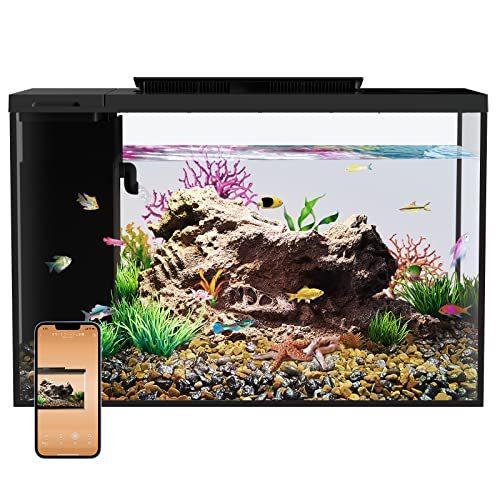 Eraark水槽 アクアリウム ベタ水槽セット 熱帯魚 メダカ水槽飼育セット 金魚鉢 スマートな水槽 Ledライト 水槽 格安saleスタート