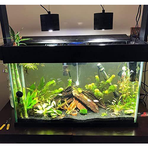 Lominie Asta 1 アクアリウム ライト 水槽 照明 Led 水草育成 調光可能 小型 水槽用 熱帯魚 金魚飼育ライト クリップ式 Asta 1 水草 A B09qxfb8g2 2601 Ruru 通販 Yahoo ショッピング