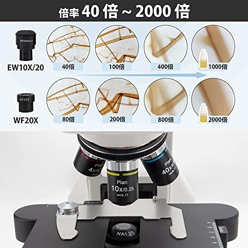 価格交渉OK送料無料 5ruruLlutico双眼ヒンジ式生物顕微鏡は倍率40X