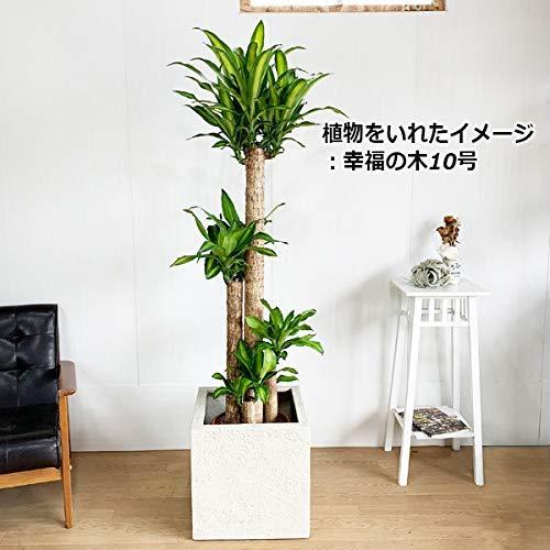 アイボリー キューブ型 デザイナーズ 高級鉢カバー 観葉植物 おしゃれ