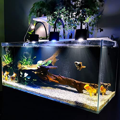 Lominie Asta 1 アクアリウム ライト 水槽 照明 Led 水草育成 調光可能 小型 水槽用 熱帯魚 金魚飼育ライト クリップ式 Asta 1 水草 A B09qxfb8g2 2617 5ruru 通販 Yahoo ショッピング