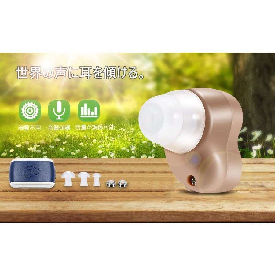 ロシヒ 補聴器 集音器 耳穴式補聴器 拡聴器 左右両用 軽量 電池式 イヤーピース大小4種 雑音抑え 肌色 電池2パックセット 日本語取扱説明書付き Ab ルルランド 通販 Yahoo ショッピング