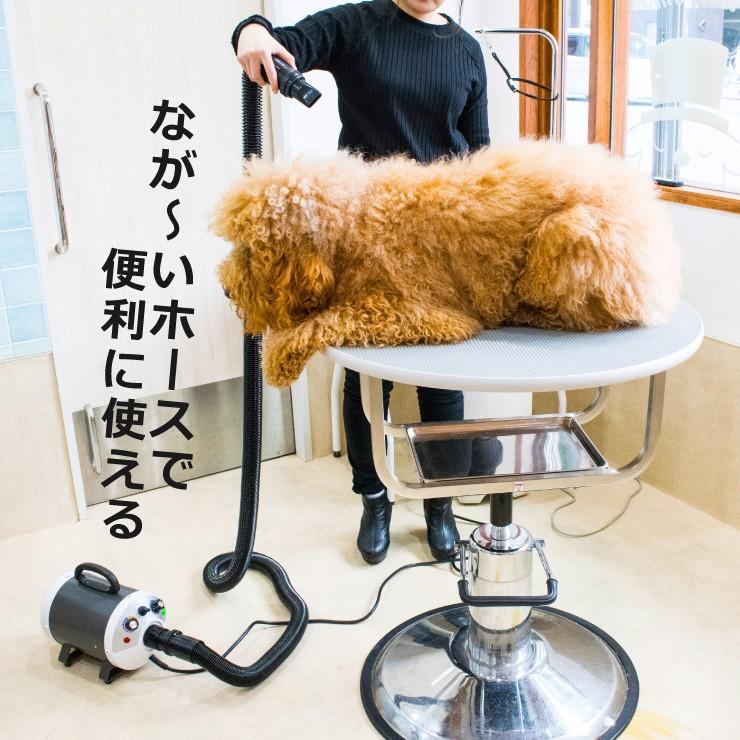 ベルミー メガブロー　業務用 Amazon.co.jp: 犬 ドライヤー「メガブロー」(風量・温度無段階