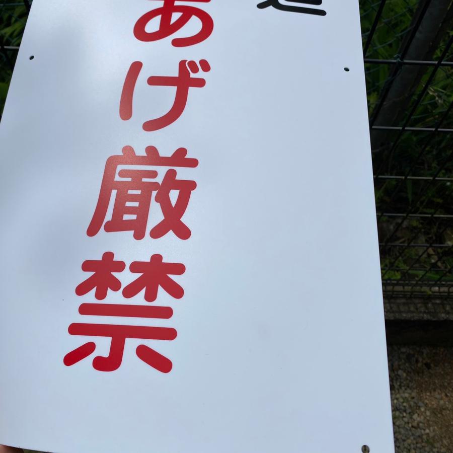 歩道 乗りあげ厳禁 標識 (PP)板1mm厚約W300×H600ミリ 私有地 通り抜け
