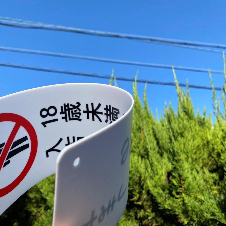 2枚入】送料無料 激安看板 『18歳未満の方の 入店はお断りします』PP板