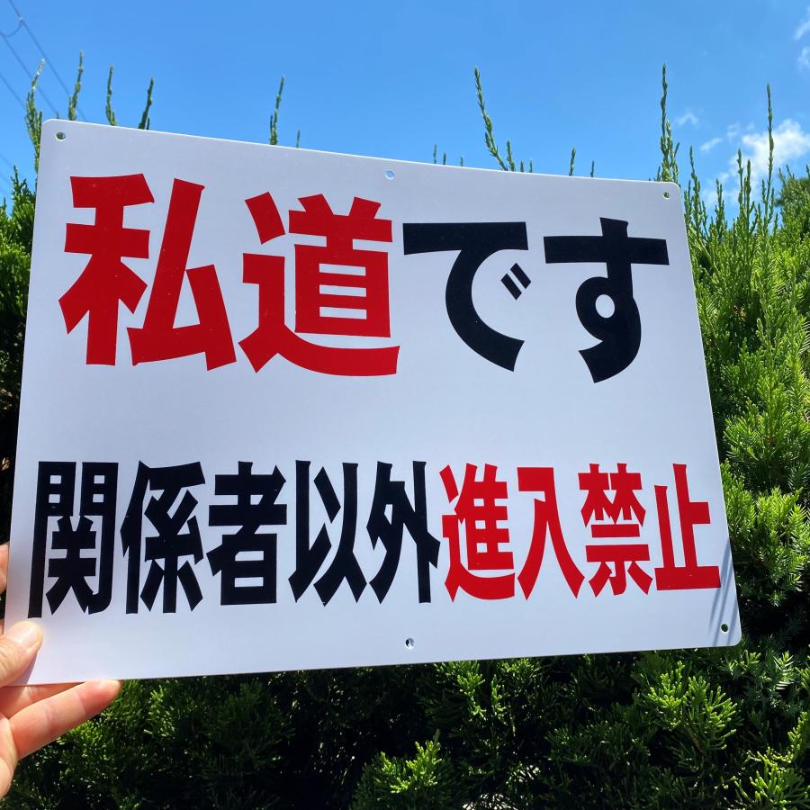 5枚入-送料無料 激安看板PP『私道です 関係者以外 進入禁止』標識 約
