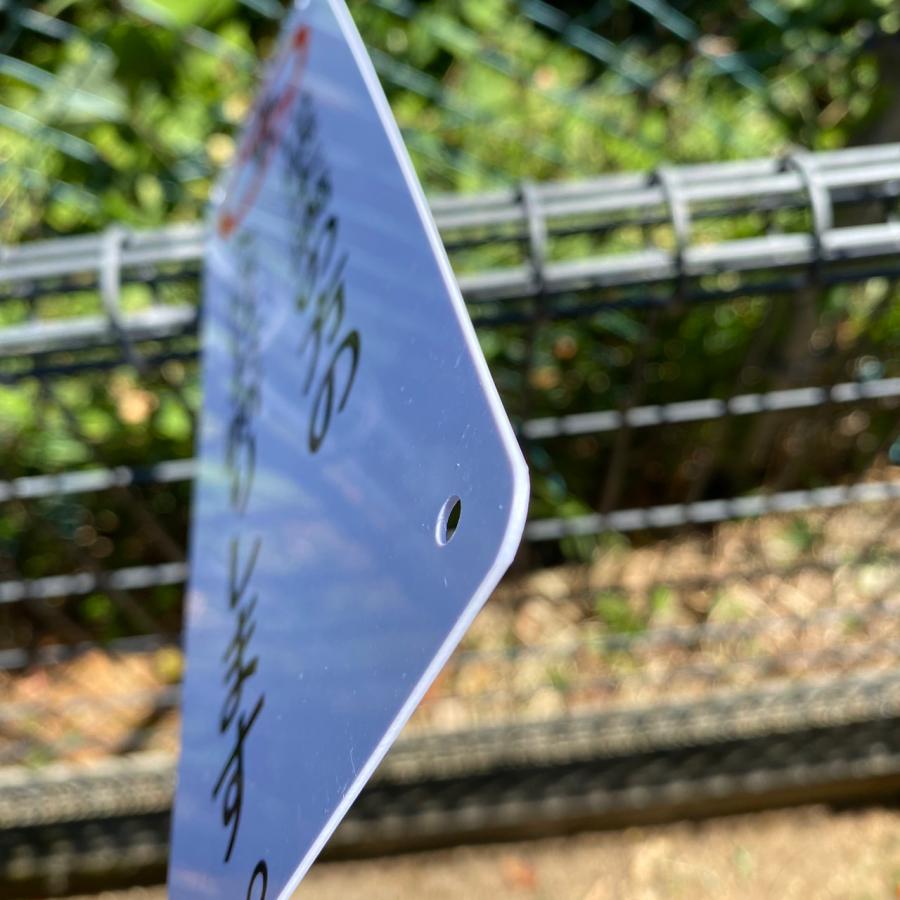 2枚入】送料無料 激安看板 『18歳未満の方の 入店はお断りします