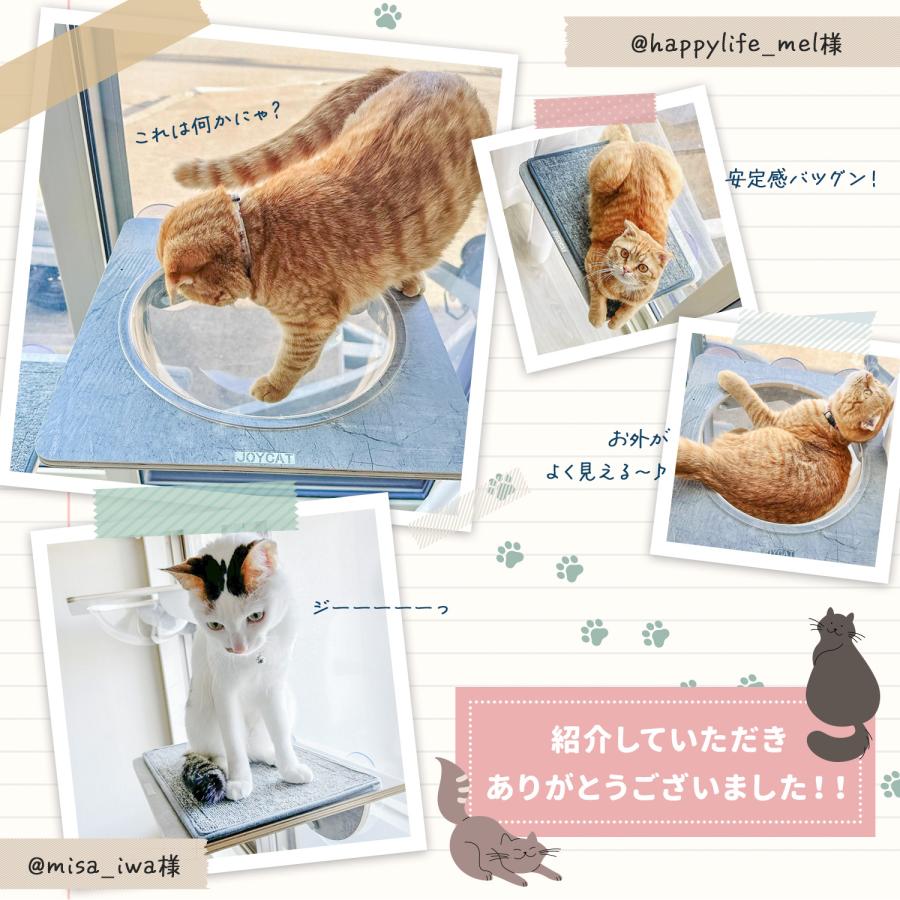 ステップ付き] 猫 ハンモック 透明 窓 猫用 ベッド クリア ボウル 宇宙