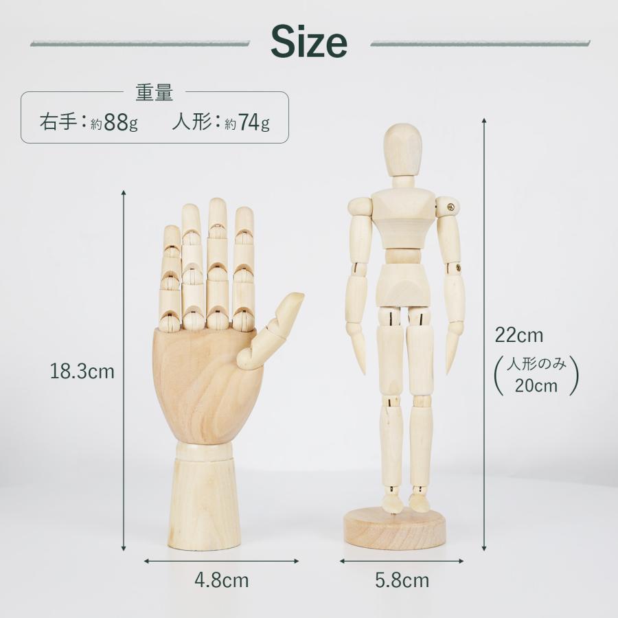 ハンドマネキン(右手) Amazon | Revteds 木製 デッサン ハンド マネキン トルソー
