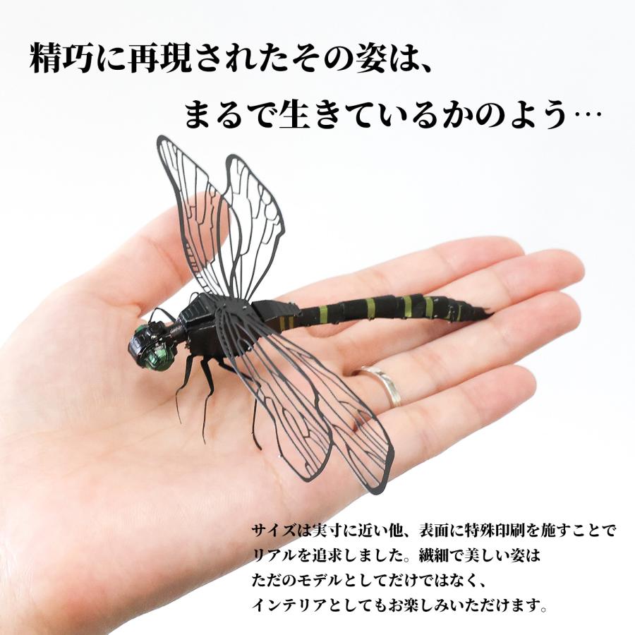 TOBAU（トバウ） 疑似ヤンマ 疑似カマキリ オニヤンマ メタヤンマ メタ